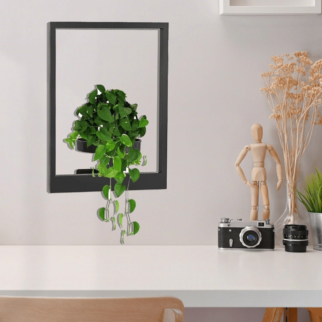 Wall-Mounted Metal Picture Frame Plant Holder