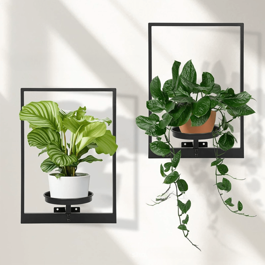 Wall-Mounted Metal Picture Frame Plant Holder