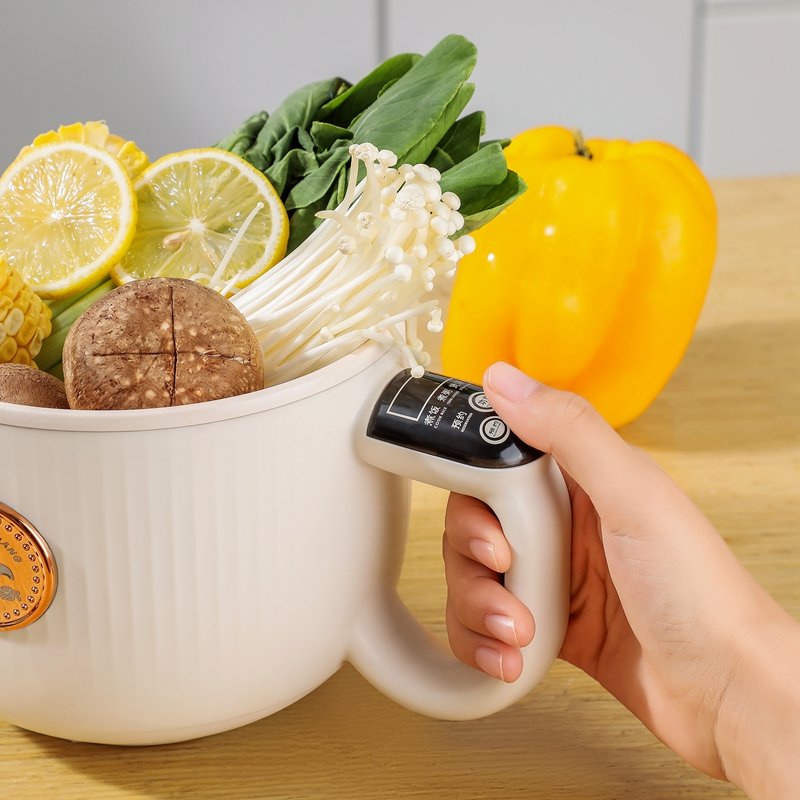 Compact All-in-One Electric Cooker