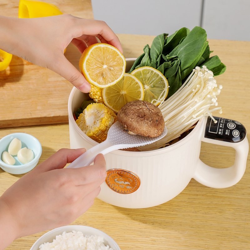 Compact All-in-One Electric Cooker