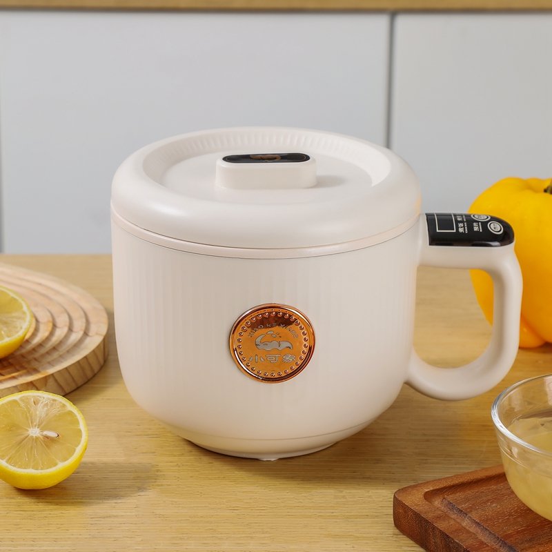 Compact All-in-One Electric Cooker